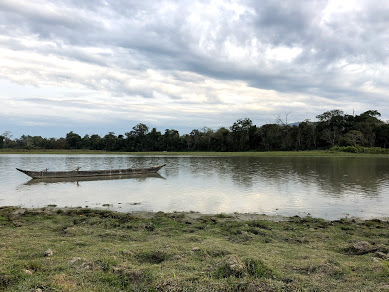 Kaziranga National Park and Cherrapunji Forest