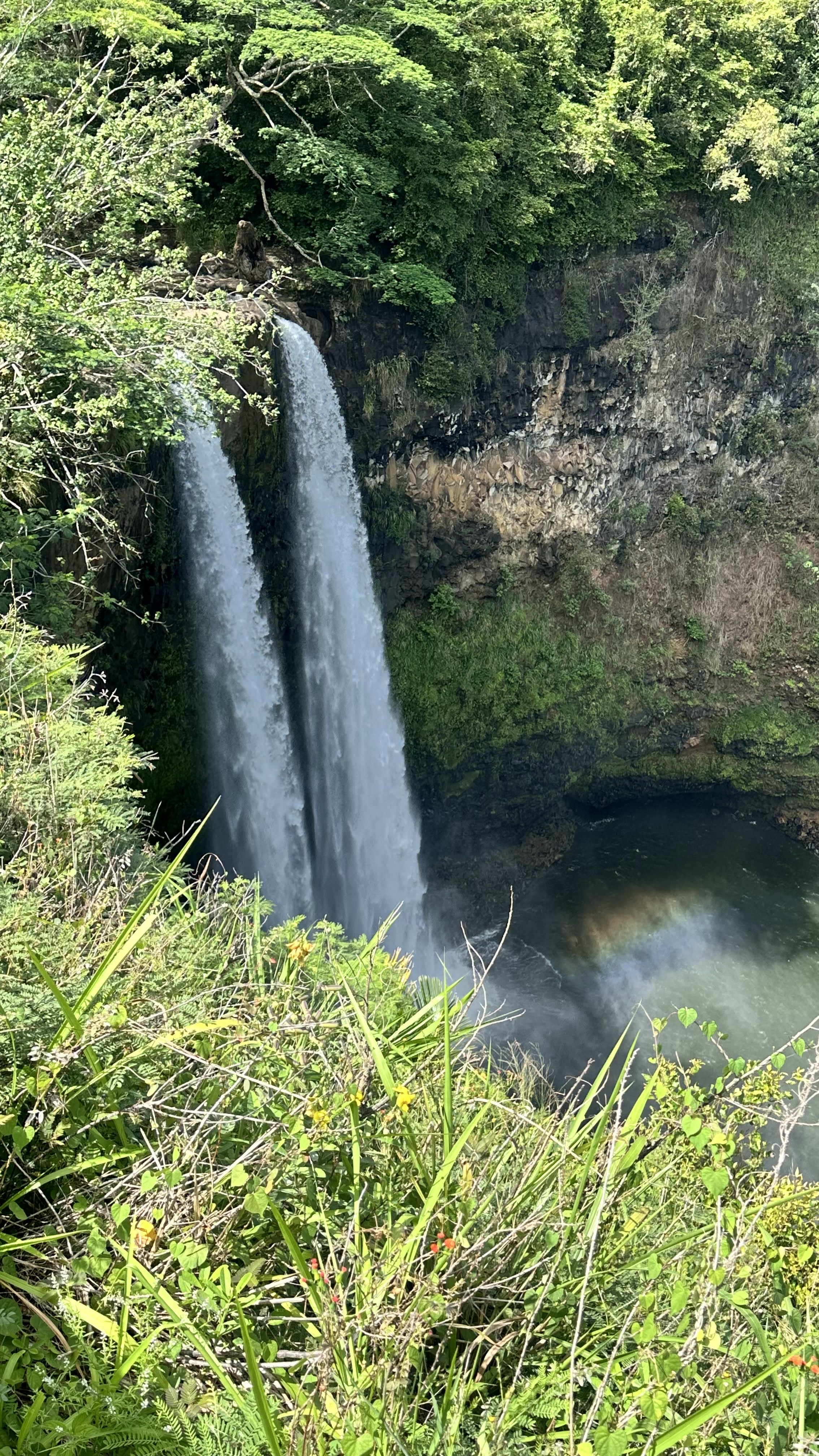 image1
